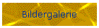 Bildergalerie